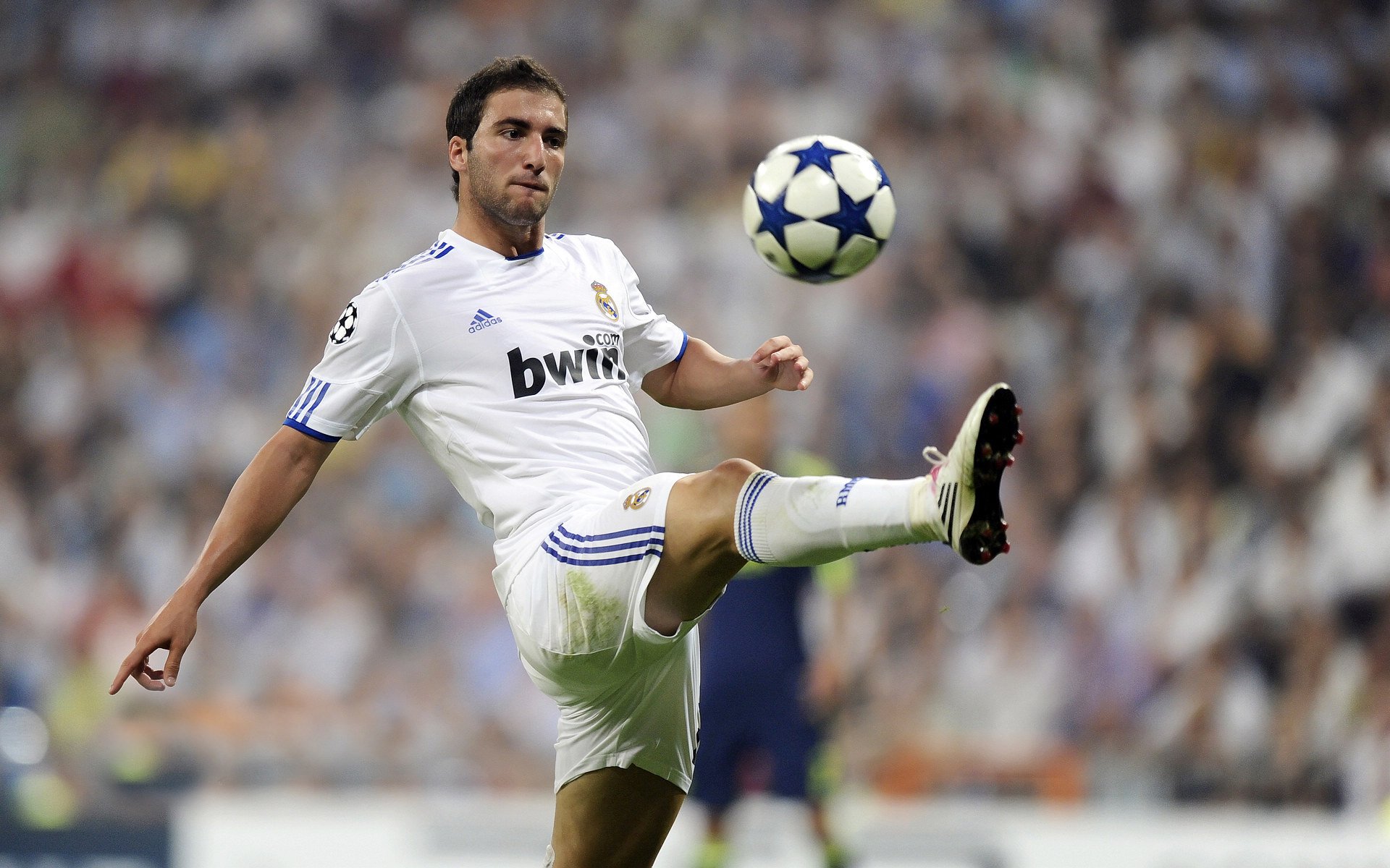 海地积极推动社区体育发展,社区体育发展迅速